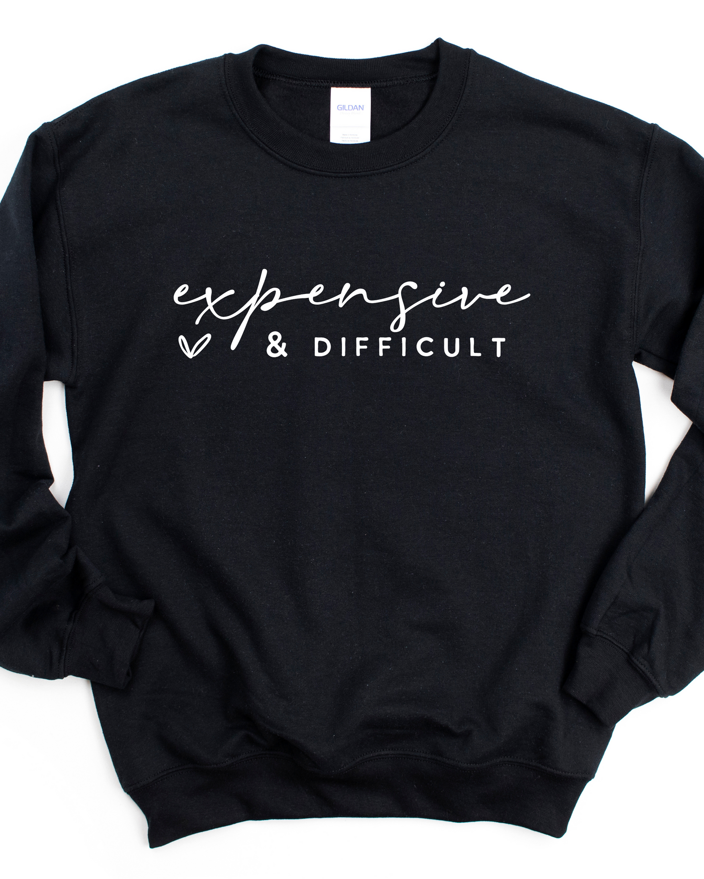 EXPENSIVE & DIFFICULT SWEATSHIRT